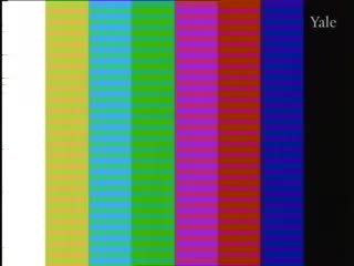 media 66031 thumbnail image