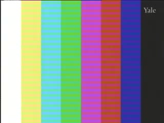 media 66055 thumbnail image