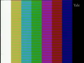 media 66121 thumbnail image