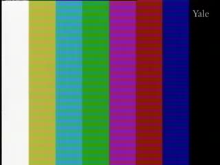 media 66122 thumbnail image