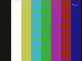 media 66157 thumbnail image