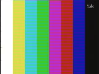 media thumbnail