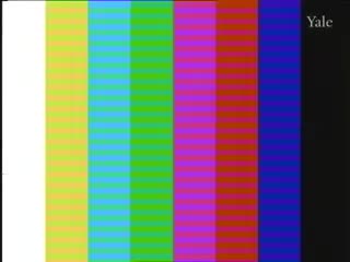 media 66227 thumbnail image