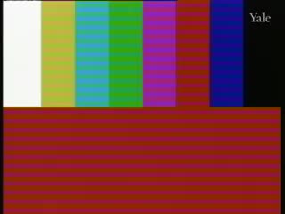 media 66269 thumbnail image