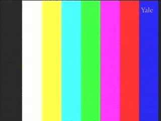 media thumbnail