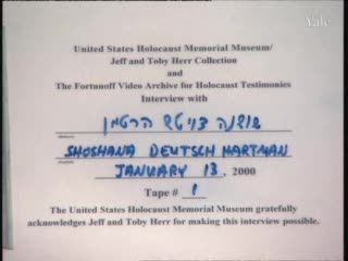 media 66604 thumbnail image