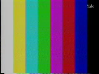 media thumbnail