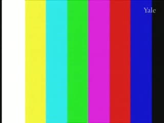 media thumbnail