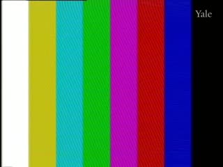 media 68855 thumbnail image
