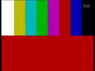media thumbnail