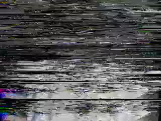 media 68956 thumbnail image