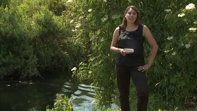 media 70684 thumbnail image