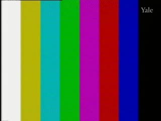 media 72381 thumbnail image