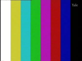 media 72404 thumbnail image