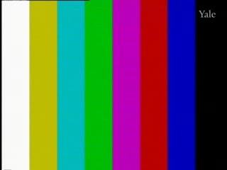 media 72593 thumbnail image