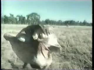 media 72663 thumbnail image