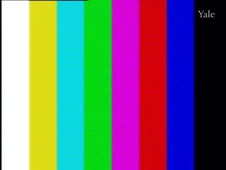 media 73475 thumbnail image
