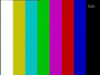 media 73478 thumbnail image