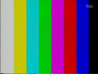 media 73738 thumbnail image