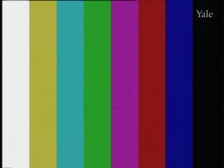 media thumbnail