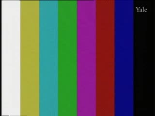 media 73773 thumbnail image