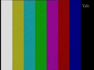 media 73774 thumbnail image