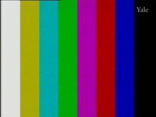 media 74497 thumbnail image