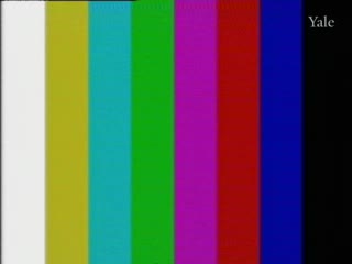 media thumbnail