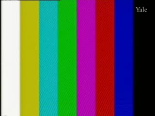 media 75009 thumbnail image