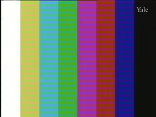 media 75050 thumbnail image