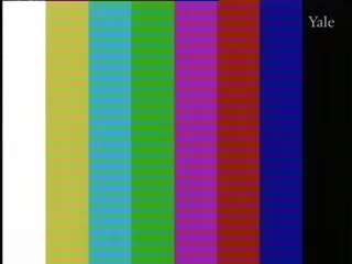media 75053 thumbnail image