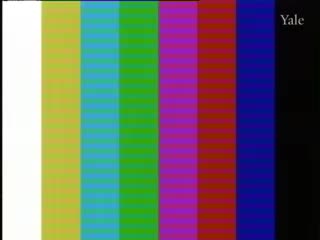 media 75054 thumbnail image