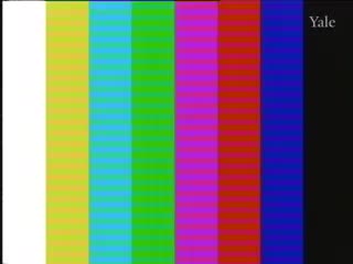 media 75056 thumbnail image