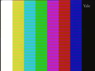 media 75058 thumbnail image