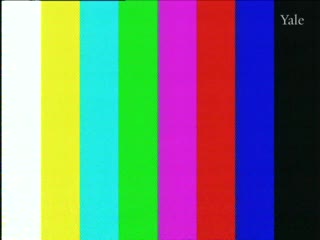 media 75142 thumbnail image