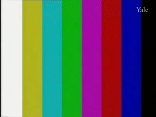 media thumbnail