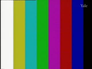 media 75196 thumbnail image
