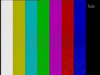 media 75217 thumbnail image