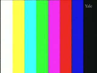 media thumbnail