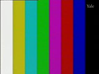 media 75545 thumbnail image