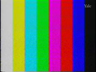 media 75579 thumbnail image