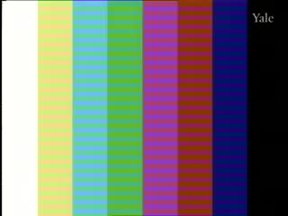 media 75642 thumbnail image