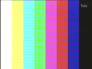 media thumbnail