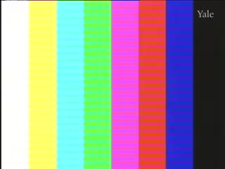 media 75645 thumbnail image