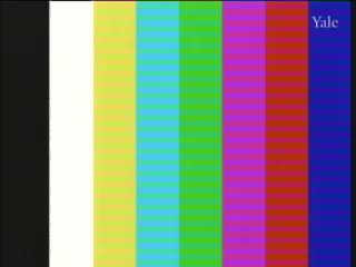 media 75650 thumbnail image