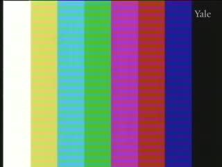 media 75651 thumbnail image