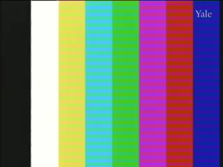 media 75653 thumbnail image