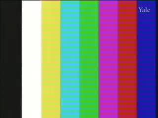 media 75655 thumbnail image