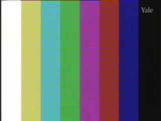 media 75884 thumbnail image