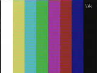 media 75885 thumbnail image
